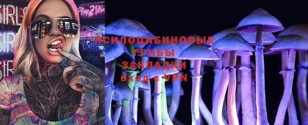 ПСИЛОЦИБИНОВЫЕ ГРИБЫ Нефтекумск