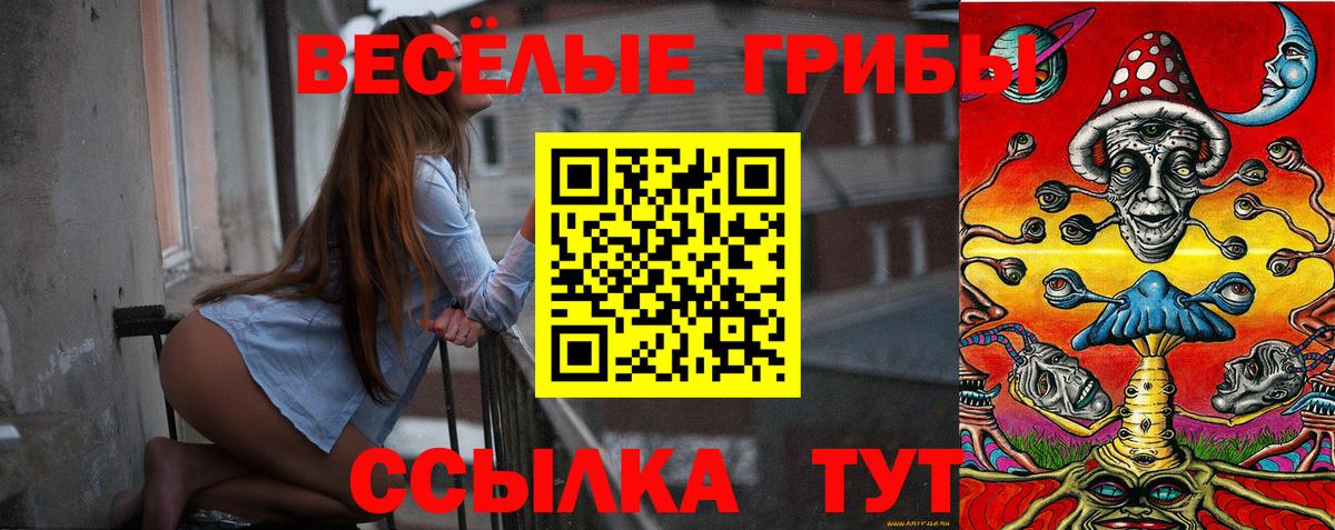 Липецк  Псилоцибиновые грибы Psilocybine cubensis  Вход с VPN  продажа наркотиков  Галлюциногенные грибы GOLDEN TEACHER 