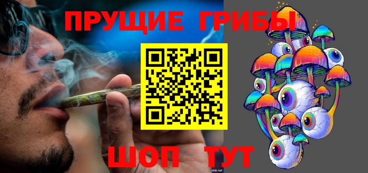 Псилоцибиновые грибы Psilocybe Липецк